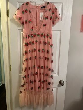 Pink Strawberry Embroidered Tulle Dress